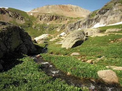 Stream competency Image